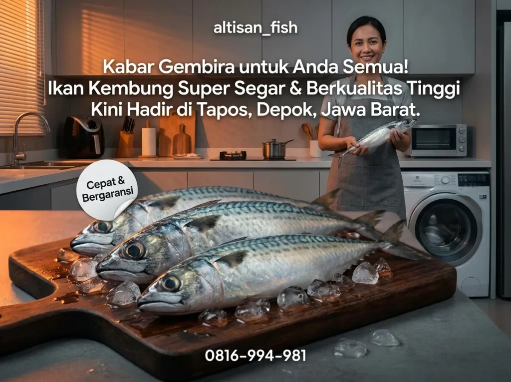 Kabar gembira buat teman-teman semua, sekarang tersedia ikan kembung super fresh dan berkualitas tinggi di Tapos, Depok, Jawa Barat.